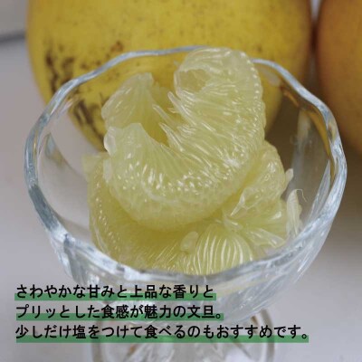 訳あり 文旦 10kg マル南フルーツ B010-106038