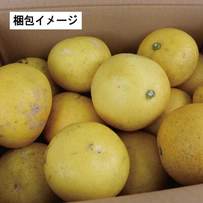 訳あり 文旦 10kg マル南フルーツ B010-106038