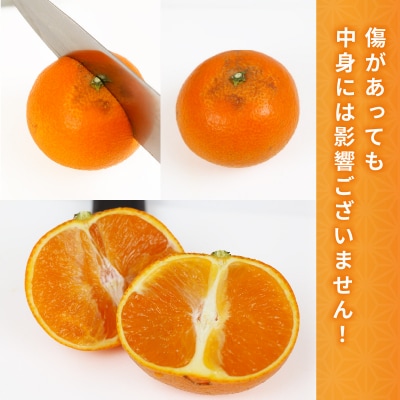 訳あり 愛果28号 3kg マル南フルーツ B010-106051