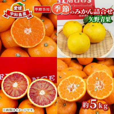 準贈答用 季節のみかん詰合せ 5kg 矢野青果 B010-171034