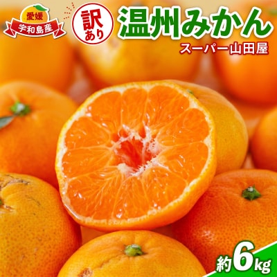 訳あり 温州みかん6kg スーパー山田屋 B010-198001