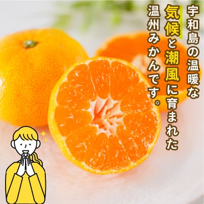 訳あり 温州みかん6kg スーパー山田屋 B010-198001