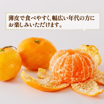 訳あり 温州みかん6kg スーパー山田屋 B010-198001
