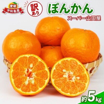 訳あり ポンカン5kg スーパー山田屋 B010-198003