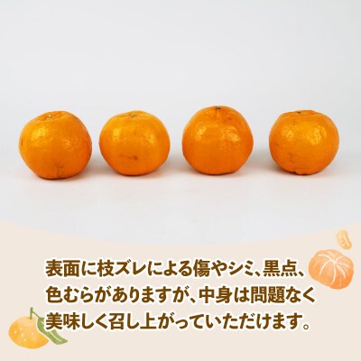 訳あり ポンカン5kg スーパー山田屋 B010-198003