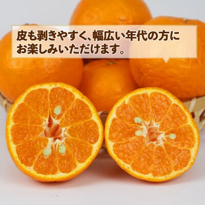 訳あり ポンカン5kg スーパー山田屋 B010-198003