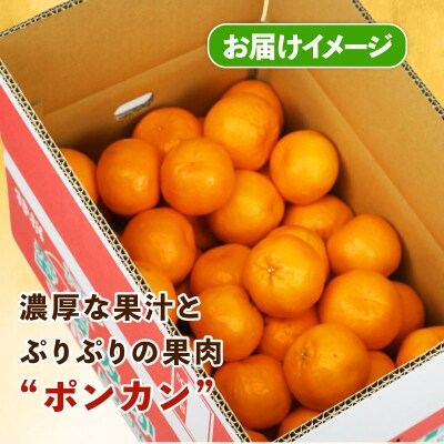 訳あり ポンカン5kg スーパー山田屋 B010-198003