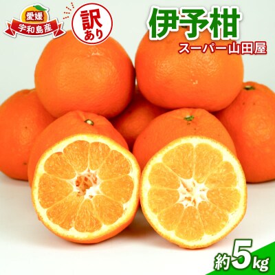 訳あり 伊予柑 5kg スーパー山田屋 B010-198005