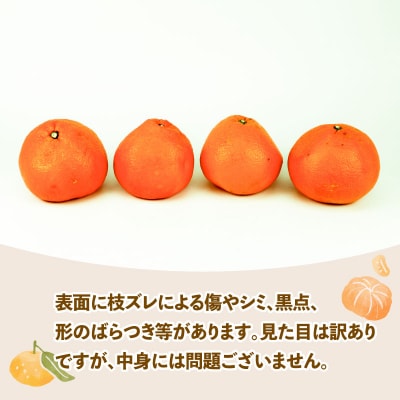 訳あり 伊予柑 5kg スーパー山田屋 B010-198005