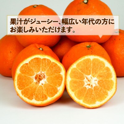 訳あり 伊予柑 5kg スーパー山田屋 B010-198005