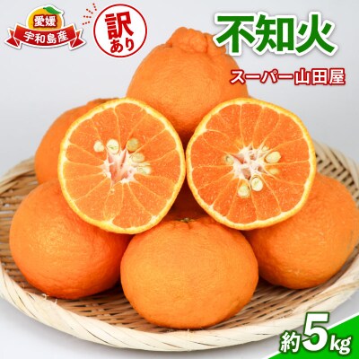 訳あり 不知火5kg スーパー山田屋 B010-198009