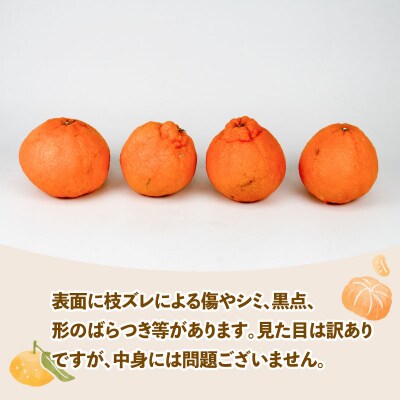 訳あり 不知火5kg スーパー山田屋 B010-198009
