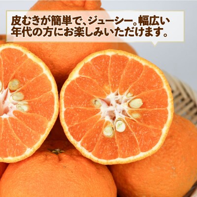訳あり 不知火5kg スーパー山田屋 B010-198009