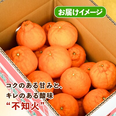 訳あり 不知火5kg スーパー山田屋 B010-198009