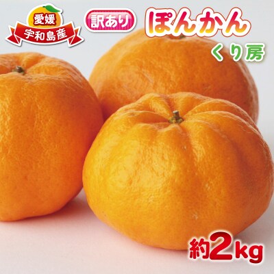 訳あり ぽんかん2kg くり房 B010-204005