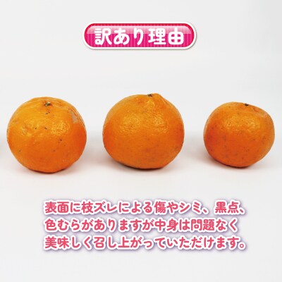 訳あり ぽんかん2kg くり房 B010-204005