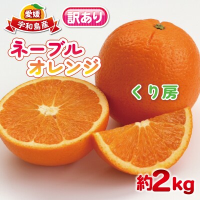 訳あり ネーブルオレンジ2kg くり房 B010-204008