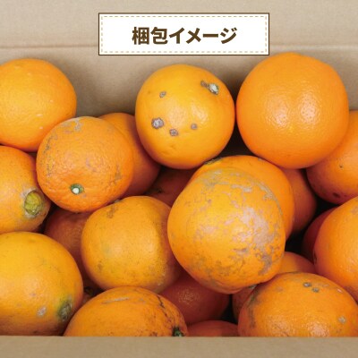 訳あり ネーブルオレンジ2kg くり房 B010-204008