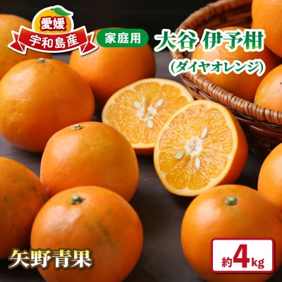家庭用  大谷伊予柑4kg 矢野青果 B012-171041