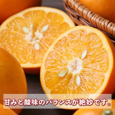 家庭用  大谷伊予柑4kg 矢野青果 B012-171041