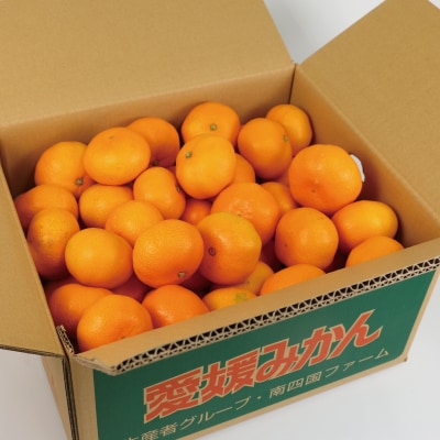 早生温州 7kg 南四国ファーム B010-035001