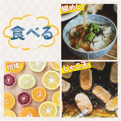 極早生みかん 8kg 南四国ファーム B010-035021
