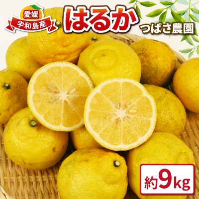 はるか 9kg つばさ農園 B010-048002