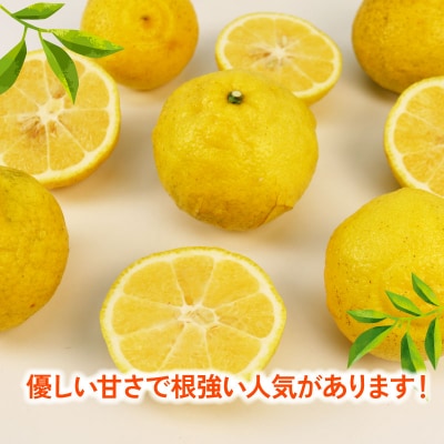 はるか 9kg つばさ農園 B010-048002