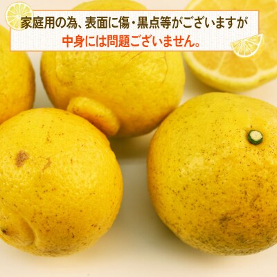 はるか 9kg つばさ農園 B010-048002