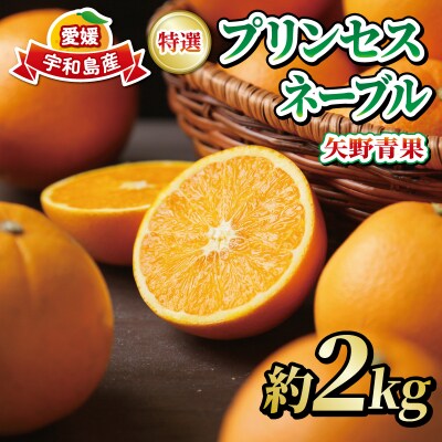 特選プリンセスネーブル2kg 矢野青果 B010-171036
