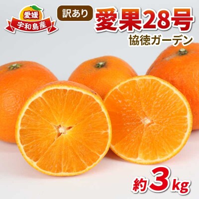 訳あり愛果28号3kg 協徳ガーデン B010-178017