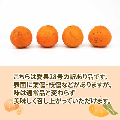 訳あり愛果28号3kg 協徳ガーデン B010-178017