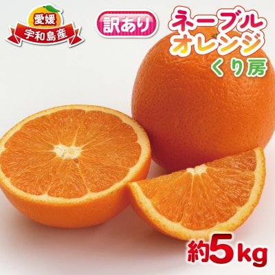 訳ありネーブルオレンジ5kg くり房 B015-204009