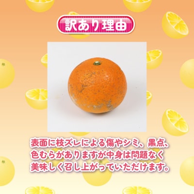 訳ありネーブルオレンジ5kg くり房 B015-204009