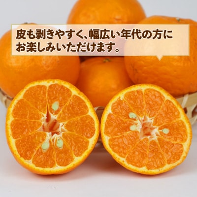 訳あり ポンカン9kg スーパー山田屋 B016-198004