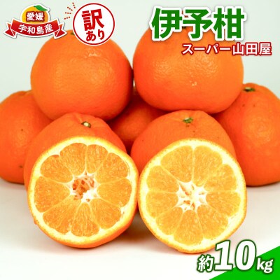 訳あり 伊予柑10kg スーパー山田屋 B016-198006