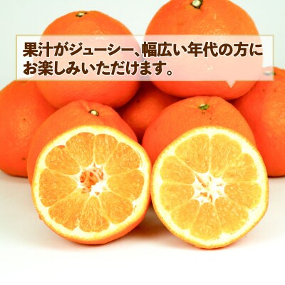 訳あり 伊予柑10kg スーパー山田屋 B016-198006