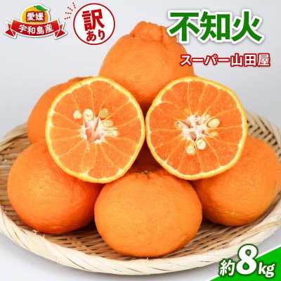 訳あり 不知火8kg スーパー山田屋 B016-198010