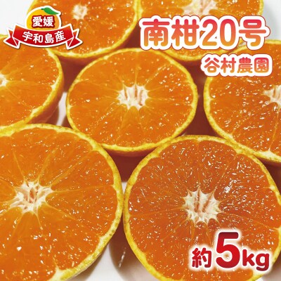南柑20号5kg 谷村農園 B016-201002