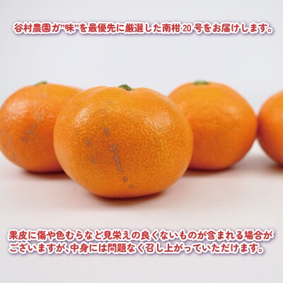 南柑20号5kg 谷村農園 B016-201002