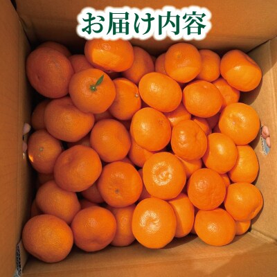 南柑20号5kg 谷村農園 B016-201002