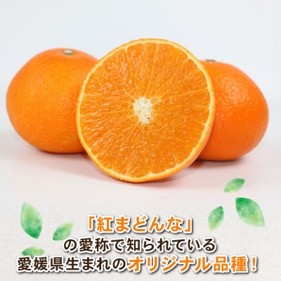 訳あり 愛果28号4kg Shirai.agrifarm B015-115013