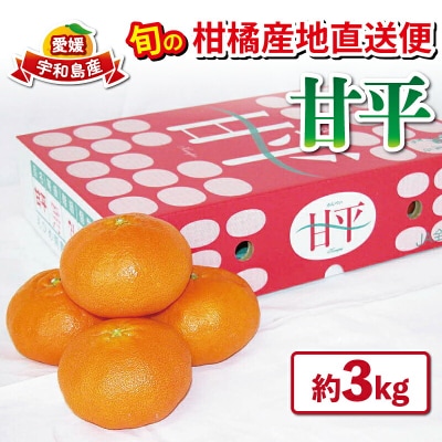 旬の柑橘産地直送便(甘平)3kg  えひめ南農業協同組合直販センター B020-009004