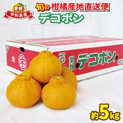 旬の柑橘産地直送便(デコポン)5kg えひめ南農業協同組合(直販センター)  B020-009005