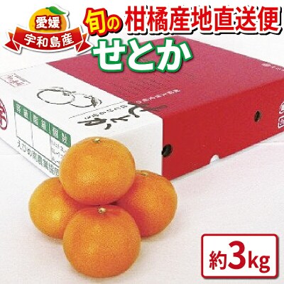 旬の柑橘産地直送便(せとか)3kg えひめ南農業協同組合直販センター B020-009006