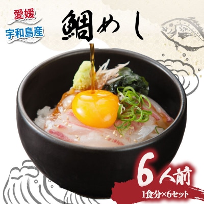 鯛めし 6食セット アクアプラス D020-090004