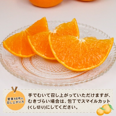愛果48号 4kg Shirai.agrifarm B030-115007