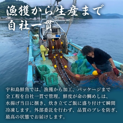 鯛めし(1〜2人前)2セット 宇和島鮮魚 D010-200001