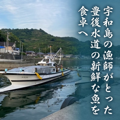 鯛めし(1〜2人前)2セット 宇和島鮮魚 D010-200001