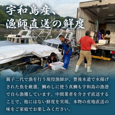 鯛めし(1〜2人前)2セット 宇和島鮮魚 D010-200001